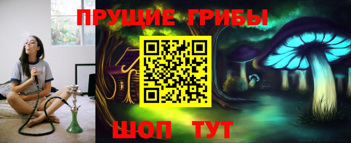 Псилоцибиновые грибы мицелий  Вход с VPN  что такое наркотик  Иваново  Галлюциногенные грибы Psilocybe 
